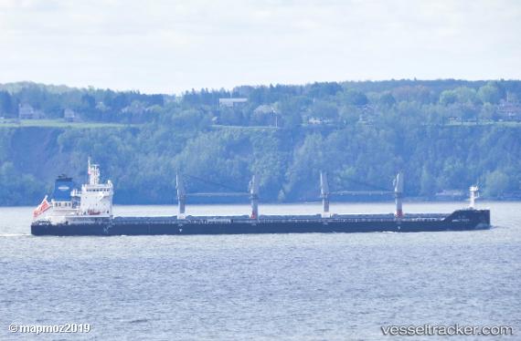 vessel Great Faith IMO: 9792905, Bulk Carrier

