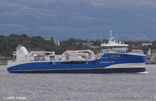 vessel Gaso Freyja IMO: 9793662, Fish Carrier
