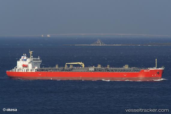 vessel Gallop IMO: 9799678, Chemical Tanker
