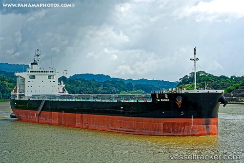vessel Tai Kudos IMO: 9799719, Bulk Carrier
