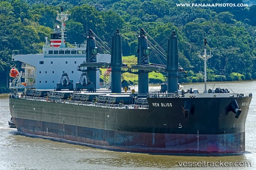 vessel New Bliss IMO: 9799745, General Cargo Ship
