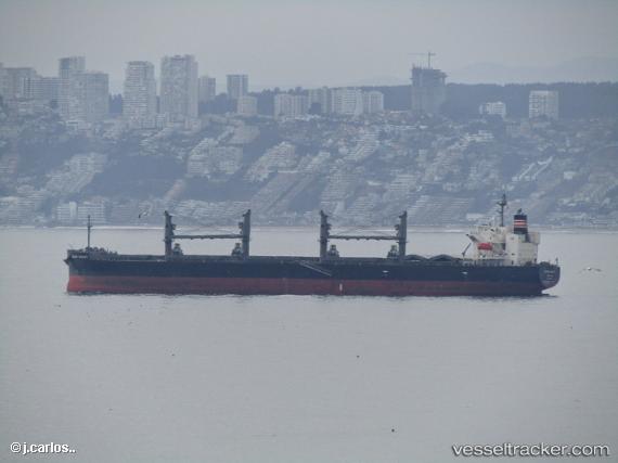 vessel Orient Dynasty IMO: 9799757, General Cargo Ship
