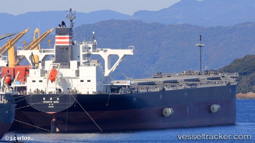 vessel Shinryo Maru IMO: 9799812, Bulk Carrier
