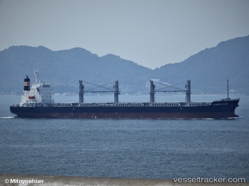 vessel Laurel Island IMO: 9801158, Bulk Carrier
