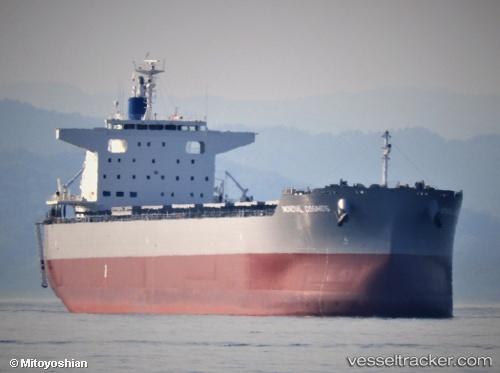 vessel Mondial Cosmos IMO: 9801196, Bulk Carrier
