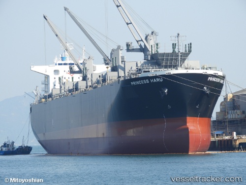 vessel Princess Haru IMO: 9801237, Wood Chips Carrier
