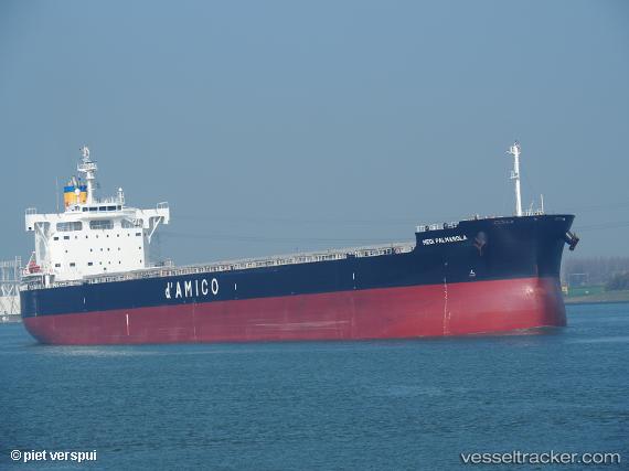 vessel Medi Palmarola IMO: 9802205, Bulk Carrier
