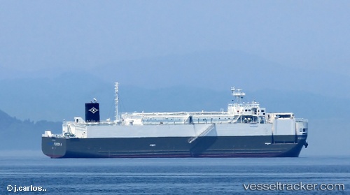 vessel Pioneer A IMO: 9805881, Ro Ro Cargo Ship
