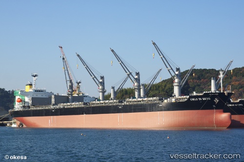 vessel Cielo Di Seto IMO: 9808352, Bulk Carrier
