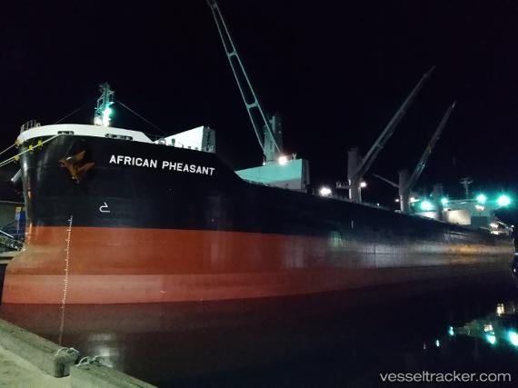 vessel African Pheasant IMO: 9846330, Bulk Carrier
